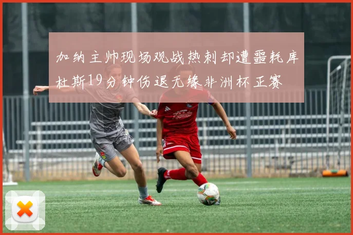 加纳主帅现场观战热刺却遭噩耗库杜斯19分钟伤退无缘非洲杯正赛