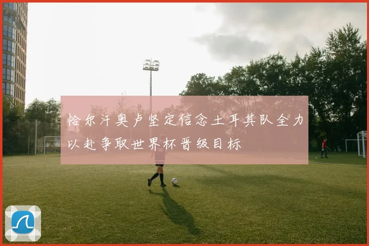 恰尔汗奥卢坚定信念土耳其队全力以赴争取世界杯晋级目标