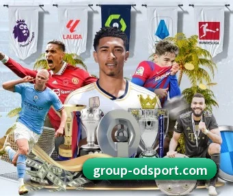 OD体育 APP | Sports